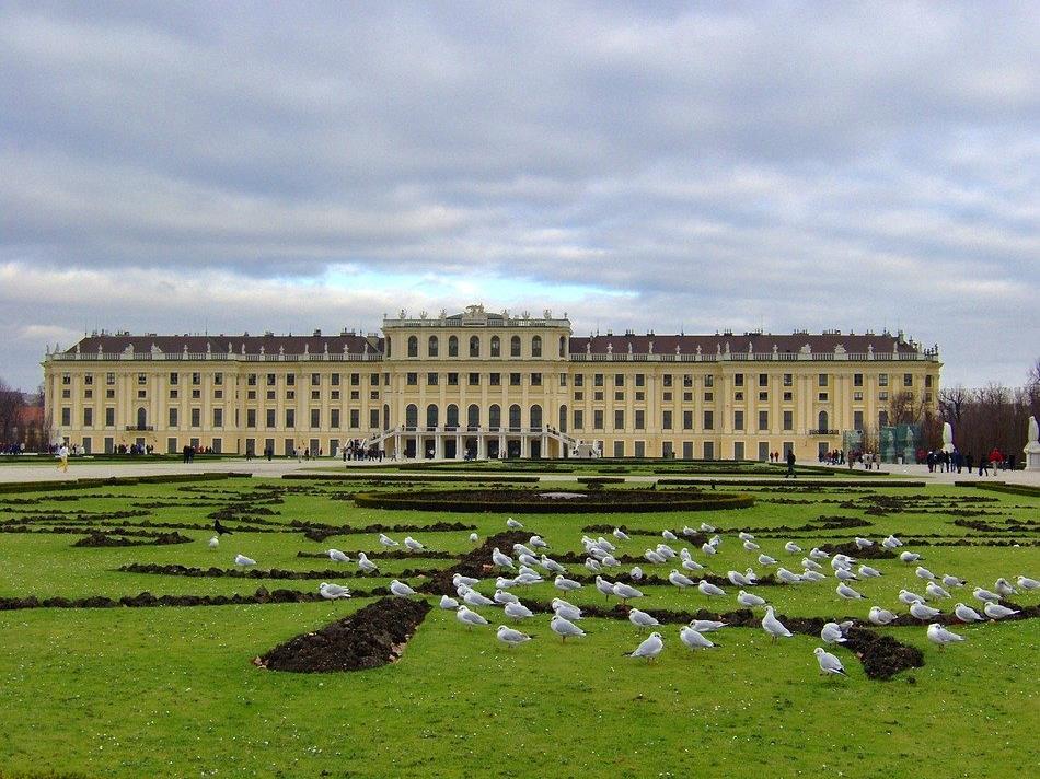 Das Schloss Schönbrunn ist Wiens Nummer 1 auf Instagram.