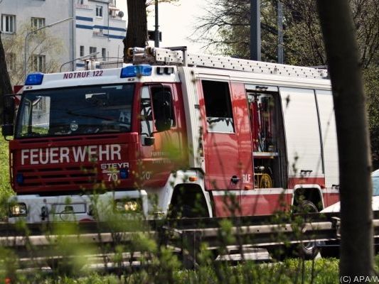 Feuerwehrleute holten die verletzte Frau aus dem Wrack