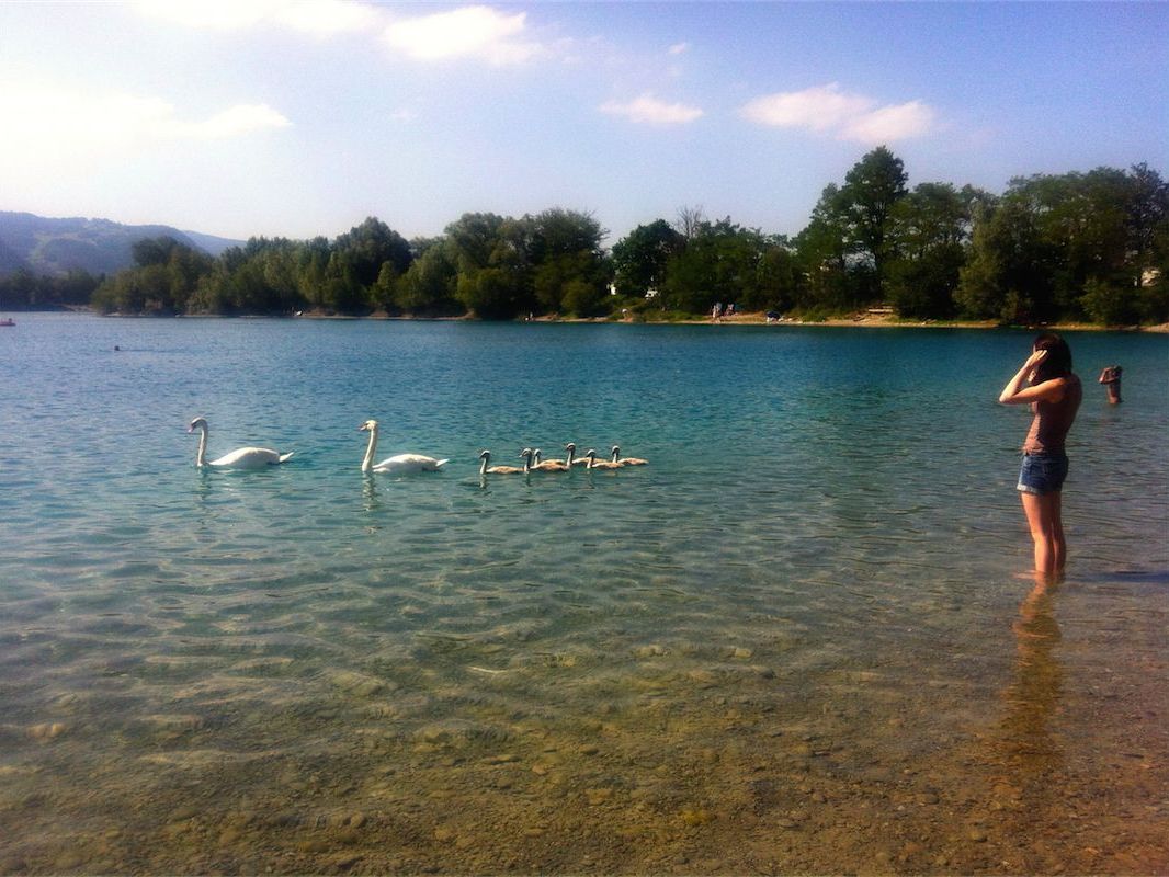 Wasservögel und Badegäste treffen am Paspelssee aufeinander. Das Füttern sollte aber unterlassen werden.