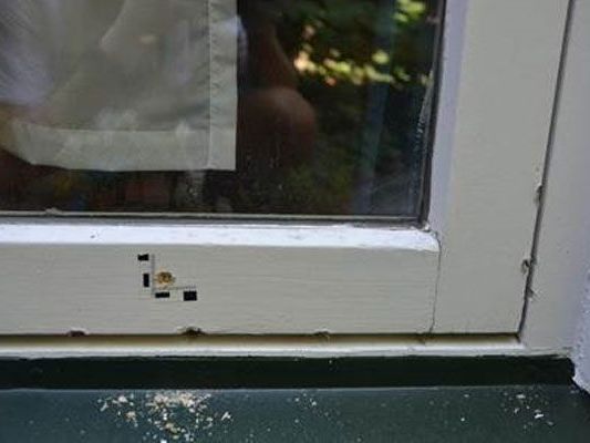 Meist stieg der Einbrecher über Fenster in die Häsuer ein. Meist stieg der Einbrecher über Fenster in die Häsuer ein.