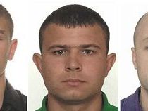 Einer Räuberbande auf der Spur: Die Polizei bittet um Hinweise. Einer Räuberbande auf der Spur: Die Polizei bittet um Hinweise.