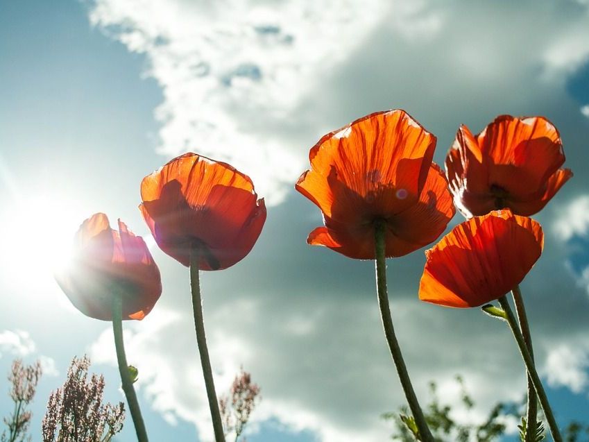Der Sommer ist offiziell angekommen. Der Sommer ist offiziell angekommen.