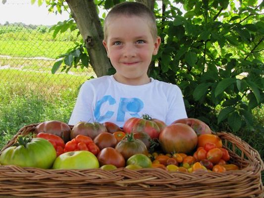 Am 24. Juni öffnen ausgewählte Gemeinschaftsgärten ihre Türen. Am 24. Juni öffnen ausgewählte Gemeinschaftsgärten ihre Türen.