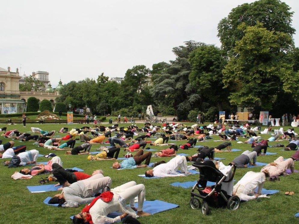 Beim Yoga-Event im Vorjahr im Wiener Stadtpark