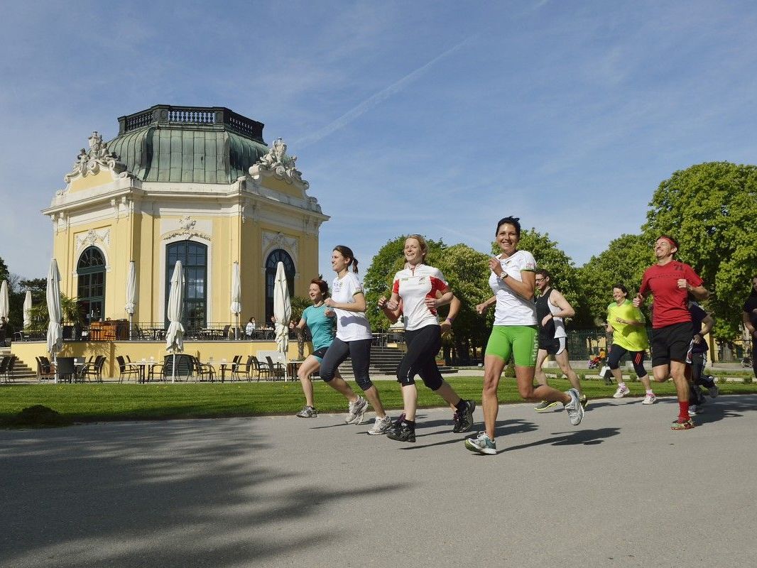 Beim Wiener Zoolauf im Tiergarten Schönbrunn