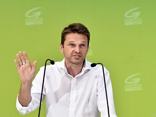 Steinhauser übte Kritik Steinhauser übte Kritik