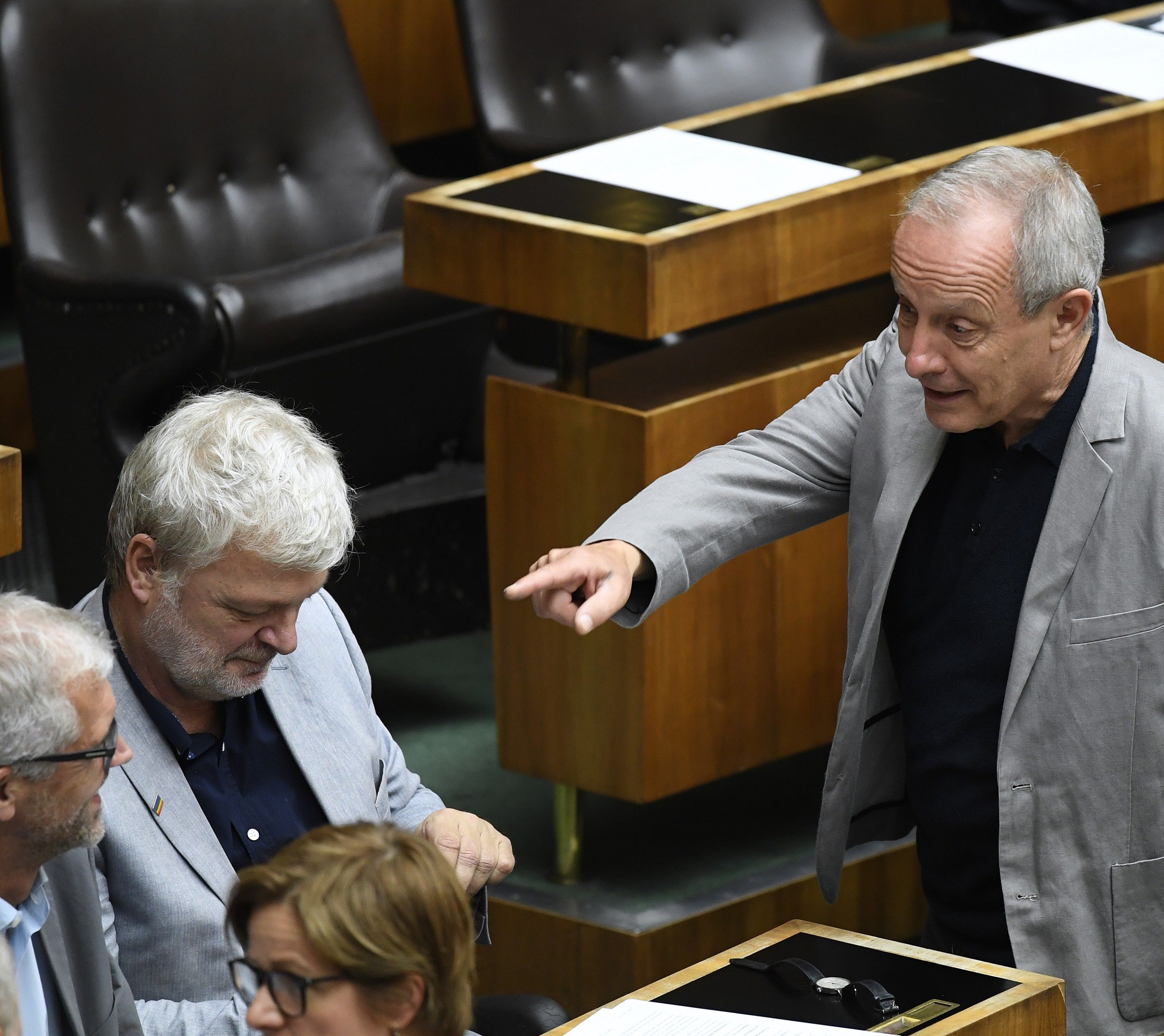 Walser: Kann meine politischen Vorstellungen nur bei Grünen umsetzen. Walser: Kann meine politischen Vorstellungen nur bei Grünen umsetzen.