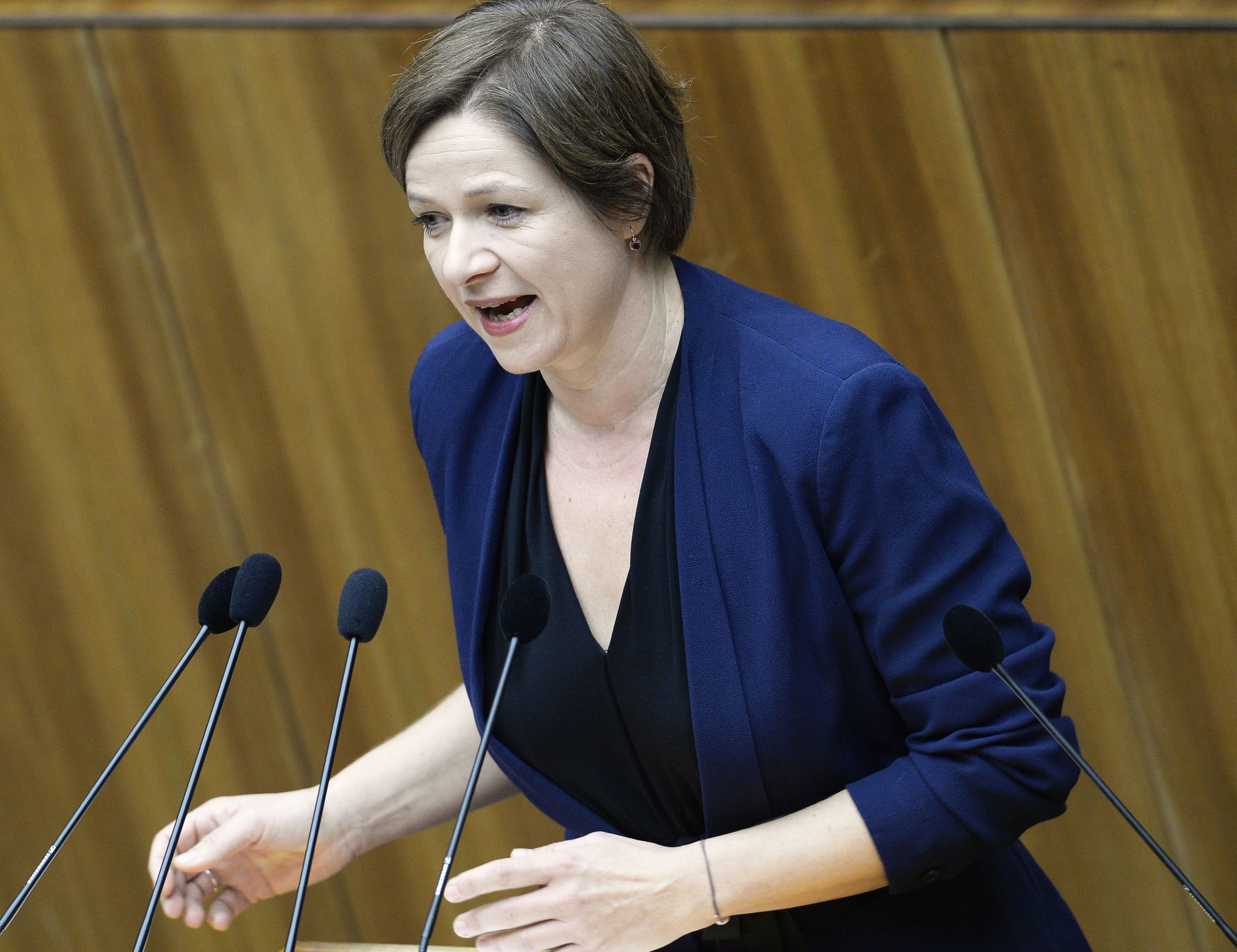 Die Grüne Sozialsprecherin Judith Schwentner. Die Grüne Sozialsprecherin Judith Schwentner.