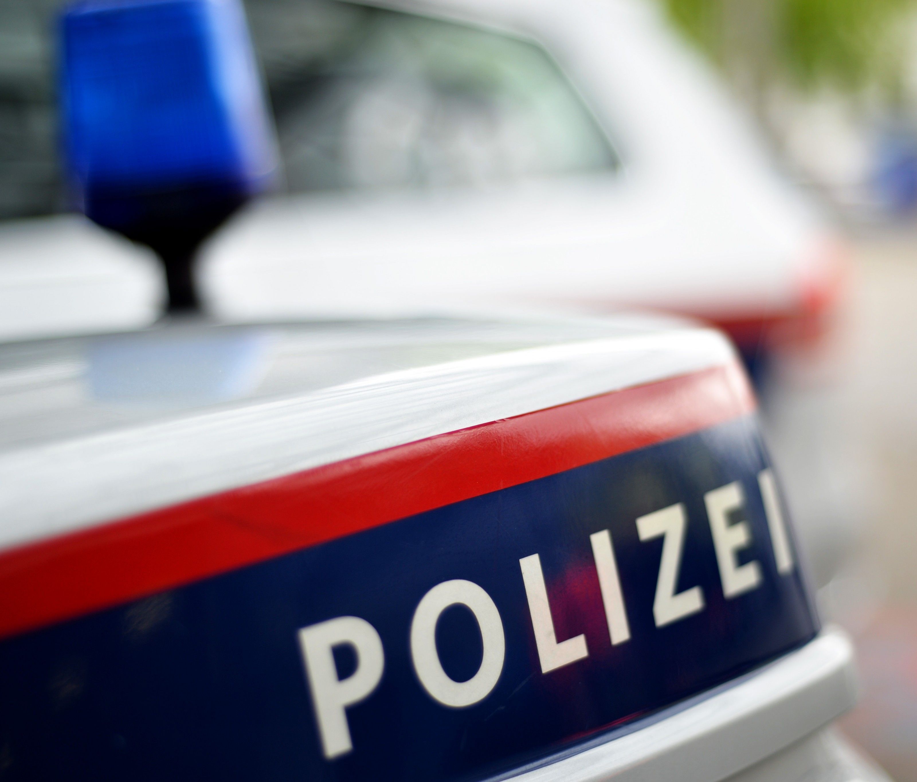 Ein Wiener Autodieb hielt die Polizei im Burgenland auf Trab. Ein Wiener Autodieb hielt die Polizei im Burgenland auf Trab.
