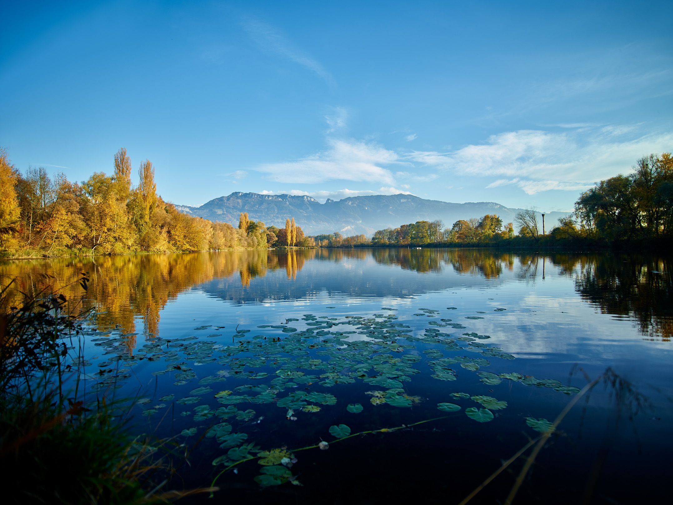 Der Naturpark Alter Rhein ist ein Juwel für Mensch, Fauna und Flora. Der Naturpark Alter Rhein ist ein Juwel für Mensch, Fauna und Flora.