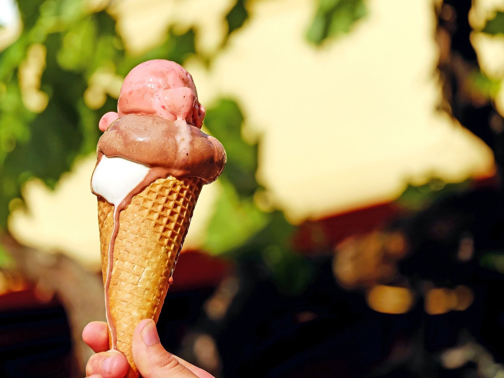 Die Grünen Wien verteilen gratis Eiscreme. Die Grünen Wien verteilen gratis Eiscreme.
