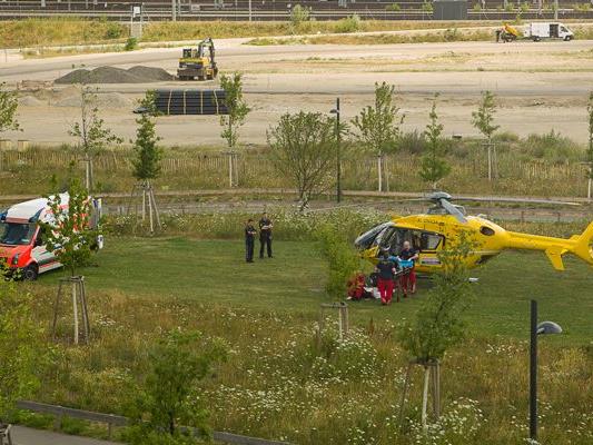 Ein Mann wurde mit dem Notarzthubschrauber ins Krankenhaus geflogen.