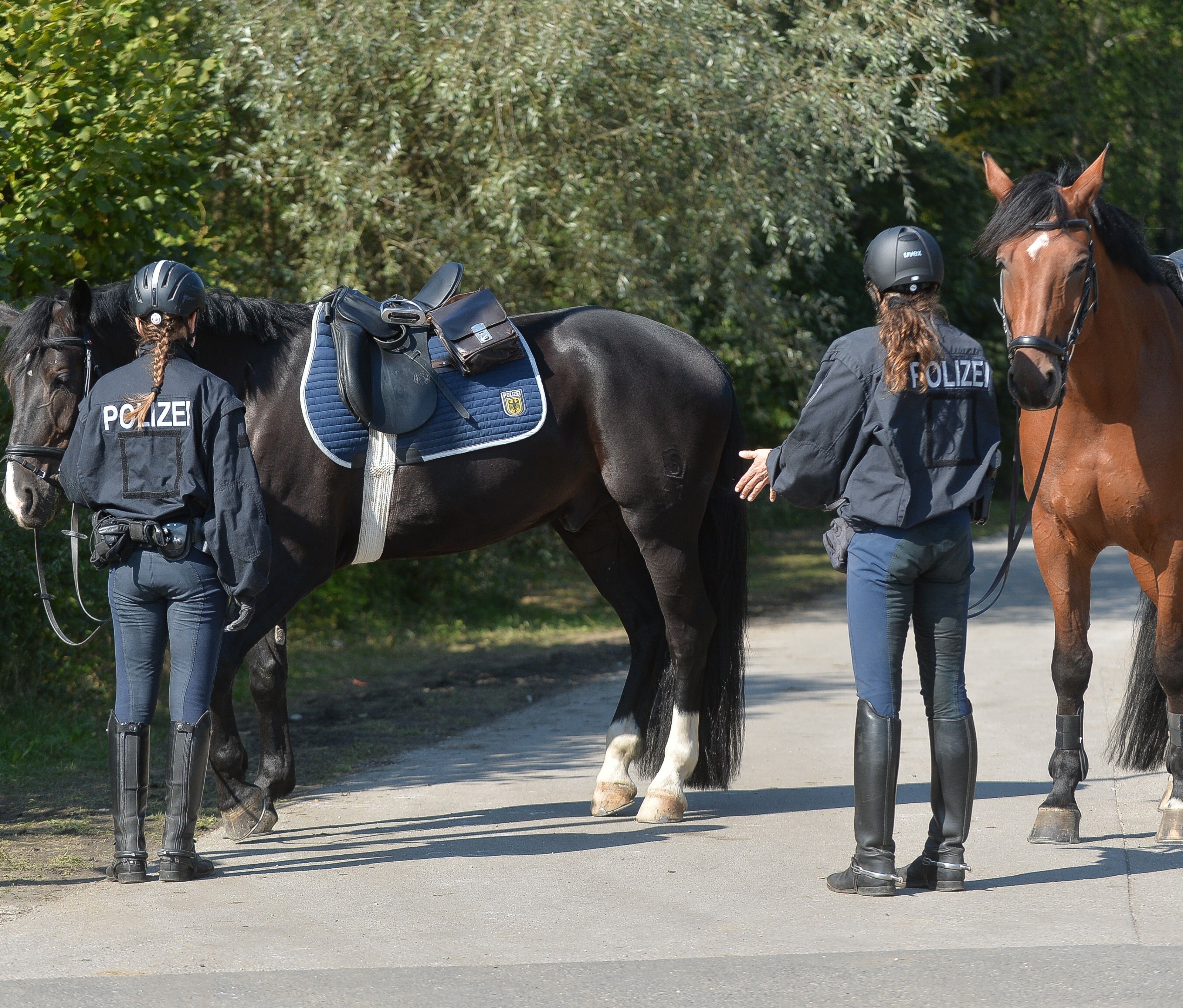 Die FPÖ möchte in Wien eine Polizeireiterstaffel wie in Bayern einführen. Die FPÖ möchte in Wien eine Polizeireiterstaffel wie in Bayern einführen.