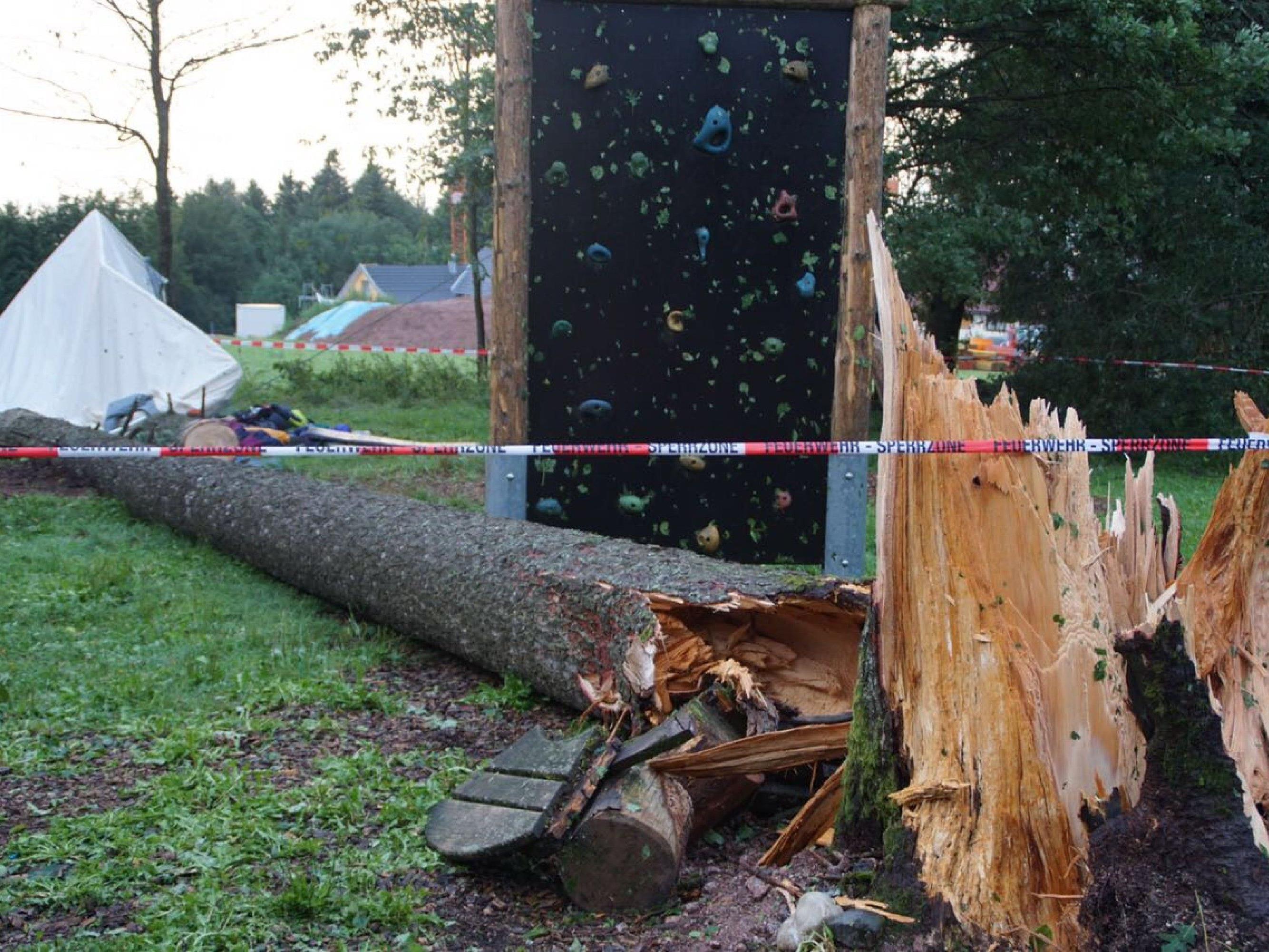 Ein 30 Meter hoher Baum stürzte auf das Zelt.