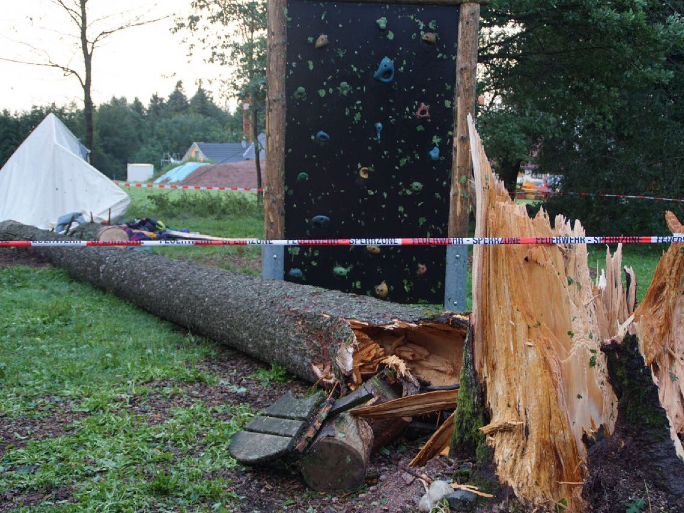 Ein 30 Meter hoher Baum stürzte auf das Zelt. Ein 30 Meter hoher Baum stürzte auf das Zelt.