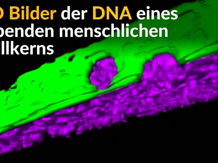 3D-Visualisierung von lebender menschlicher DNA.