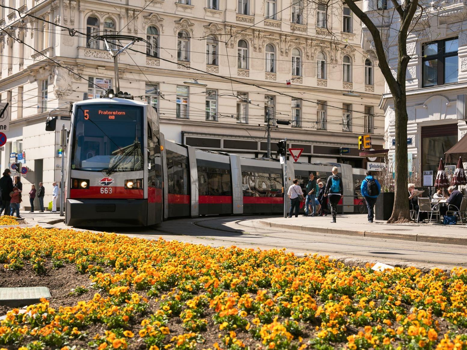 Am Freitag stürzte in Wien eine Baumulde auf die Straßenbahnlinie 5.