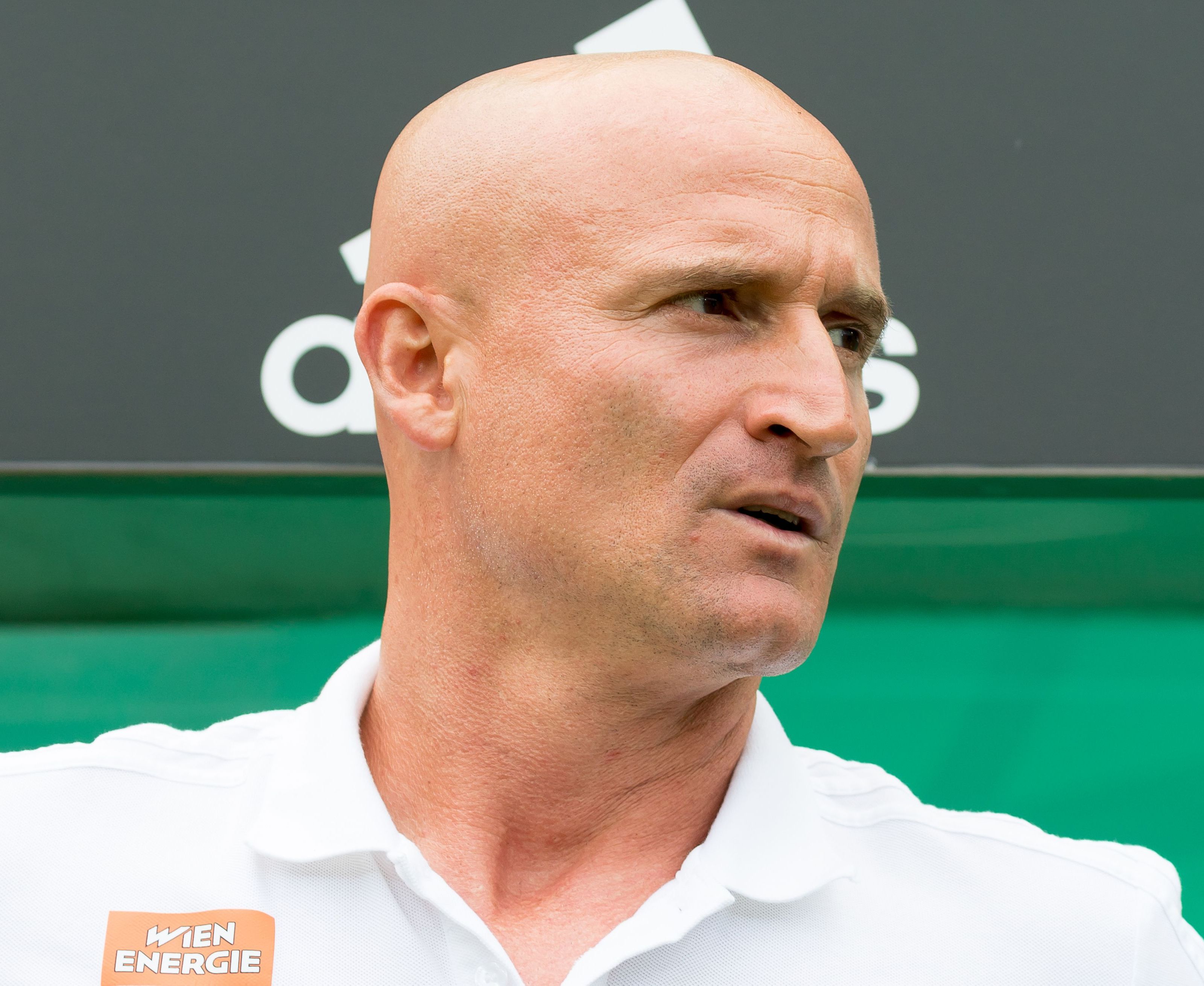 Laut Trainer Trainer Goran Djuricin befindet sich Rapid im Aufschwung. Laut Trainer Trainer Goran Djuricin befindet sich Rapid im Aufschwung.