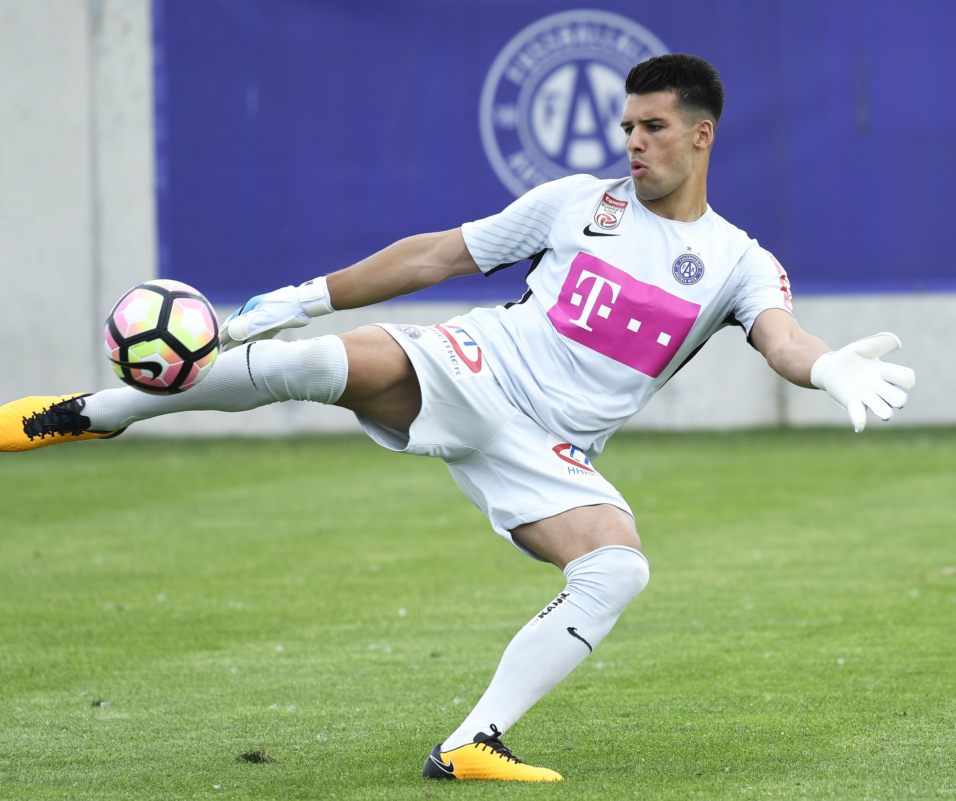 Admira holte ehemaligen Austria-Tormann Hadzikic. Admira holte ehemaligen Austria-Tormann Hadzikic.