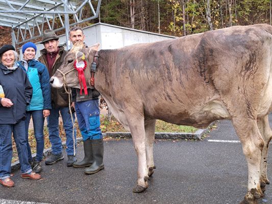 Die Siegerkuh in der Gruppe Brown Swiss und als Gesamtsiegerin des Tages. Die Siegerkuh in der Gruppe Brown Swiss und als Gesamtsiegerin des Tages.