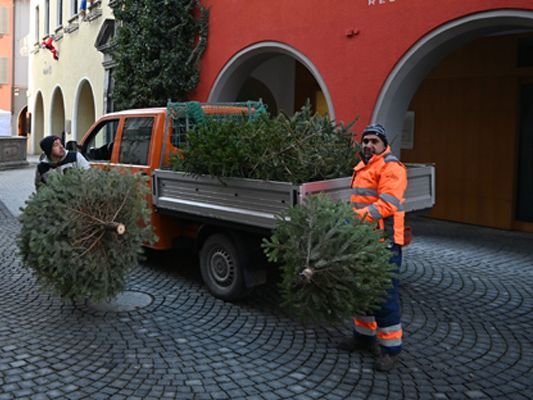 Die Christbäume werden in Bludenz noch bis Ende Jänner eingesammelt. Die Christbäume werden in Bludenz noch bis Ende Jänner eingesammelt.
