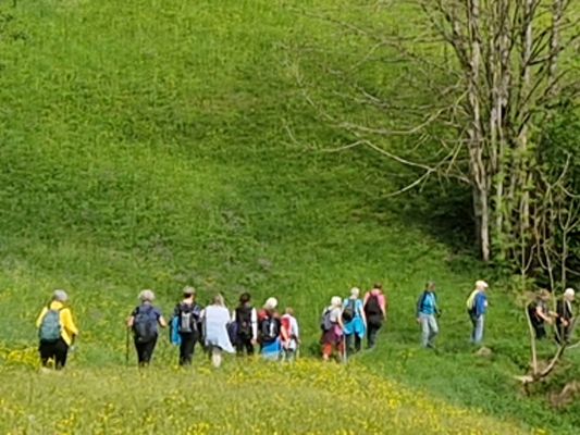 Mit LE.NA die Natur und die Gemeinschaft genießen. Die neuen Termine für die Frühlingswanderungen stehen fest. Mit LE.NA die Natur und die Gemeinschaft genießen. Die neuen Termine für die Frühlingswanderungen stehen fest.