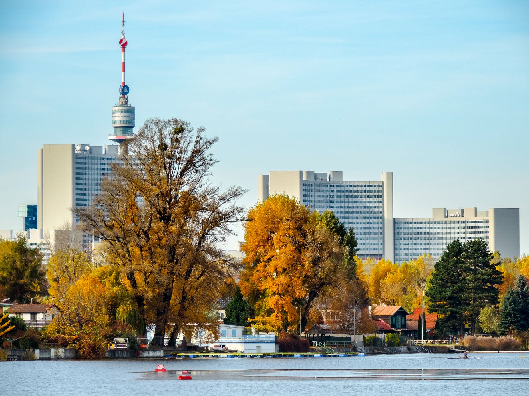 Herbstliche Donauinsel-Bilanz: Saisonende für die Copa-Cruise und die Mähschafe. Herbstliche Donauinsel-Bilanz: Saisonende für die Copa-Cruise und die Mähschafe.