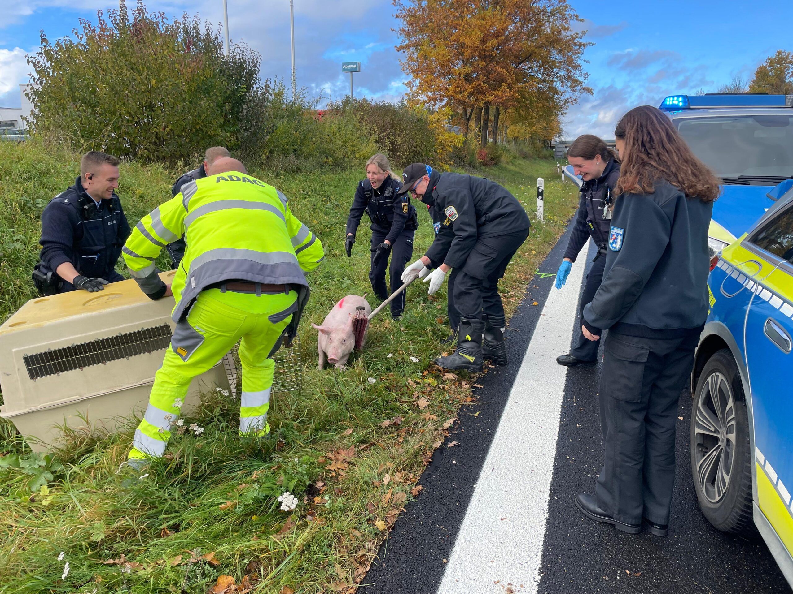 Einen tierischen Einsatz haben vier Mitglieder der FF Mödling in Deutschland absolviert. Einen tierischen Einsatz haben vier Mitglieder der FF Mödling in Deutschland absolviert.