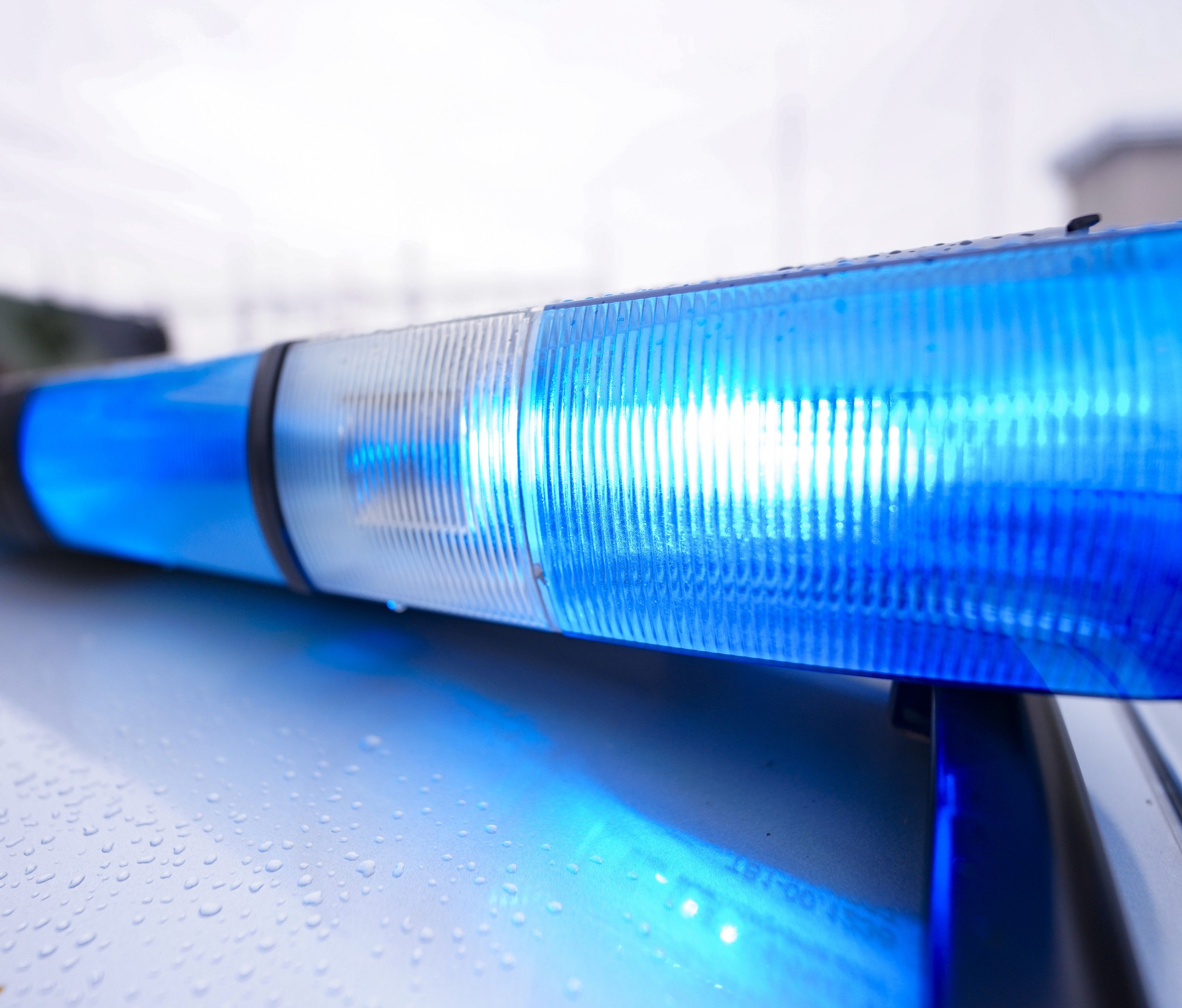 Polizei wurde zu Wochenbeginn alarmiert. Polizei wurde zu Wochenbeginn alarmiert.