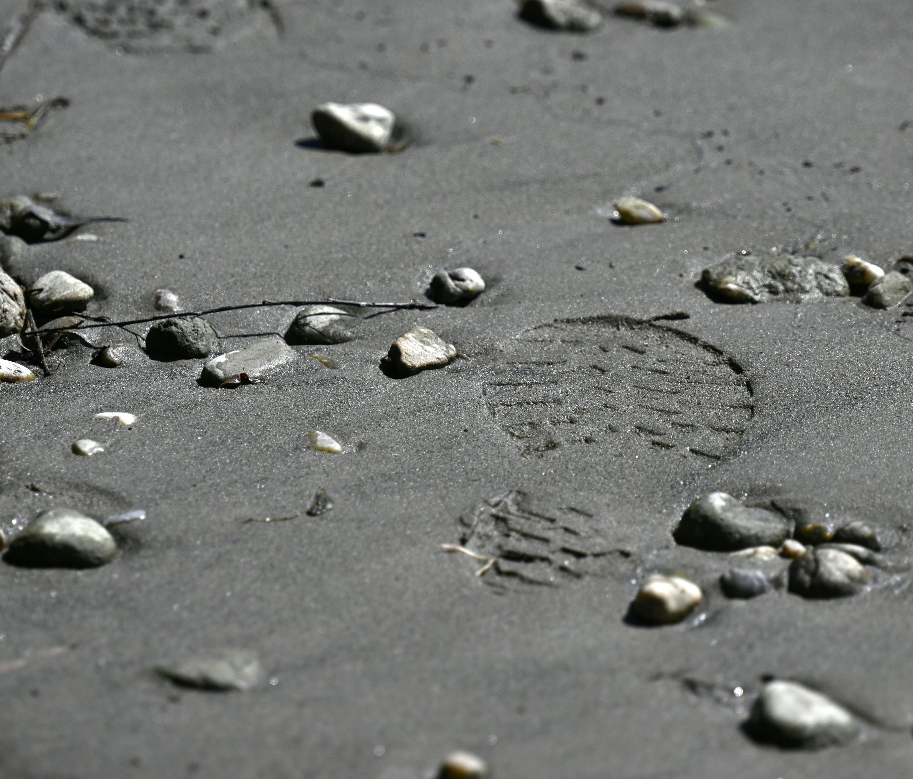Im Zuge der Ermittlungen rund um den Leichenfund in der Neuen Donau in Wien-Floridsdorf wurde nun ein weiterer Mann festgenommen. Im Zuge der Ermittlungen rund um den Leichenfund in der Neuen Donau in Wien-Floridsdorf wurde nun ein weiterer Mann festgenommen.
