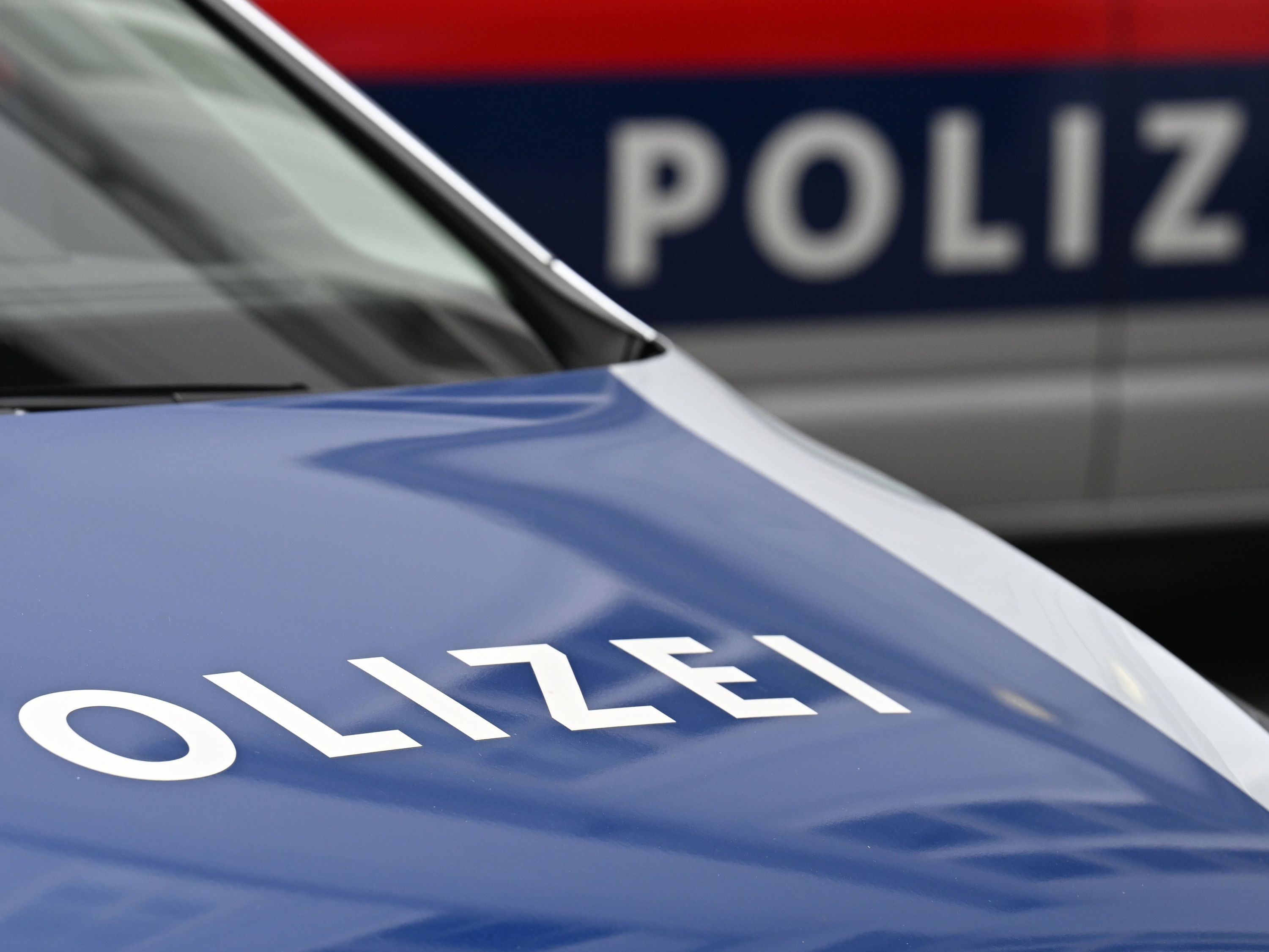 Zwei Grazer Jugendliche wurden ausgeforscht. Zwei Grazer Jugendliche wurden ausgeforscht.