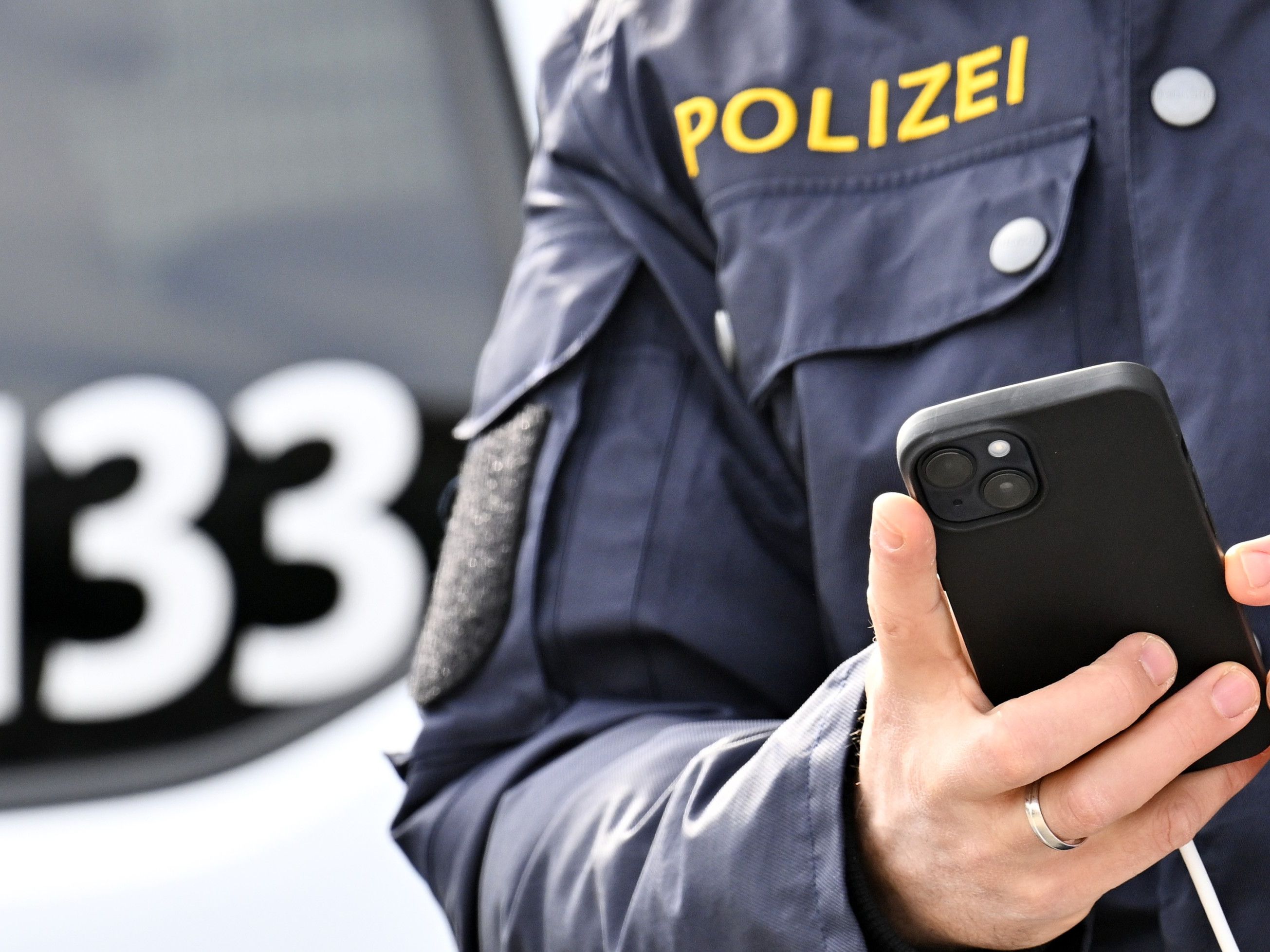 Das Duo wurde vorläufig festgenommen. Das Duo wurde vorläufig festgenommen.