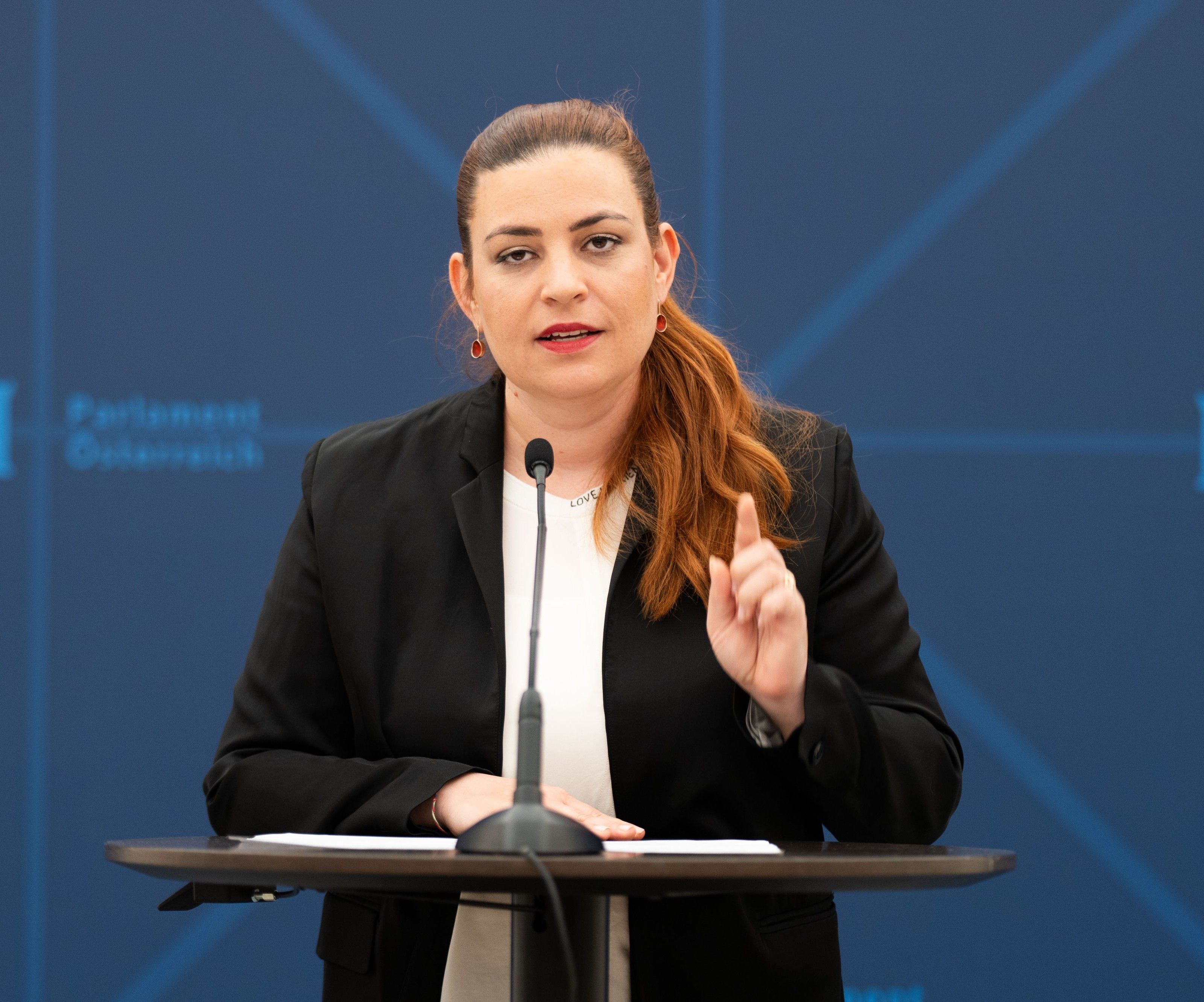 Die Grünen werfen der Regierung Untätigkeit bei der Betrugsbekämpfung vor. Die Grünen werfen der Regierung Untätigkeit bei der Betrugsbekämpfung vor.