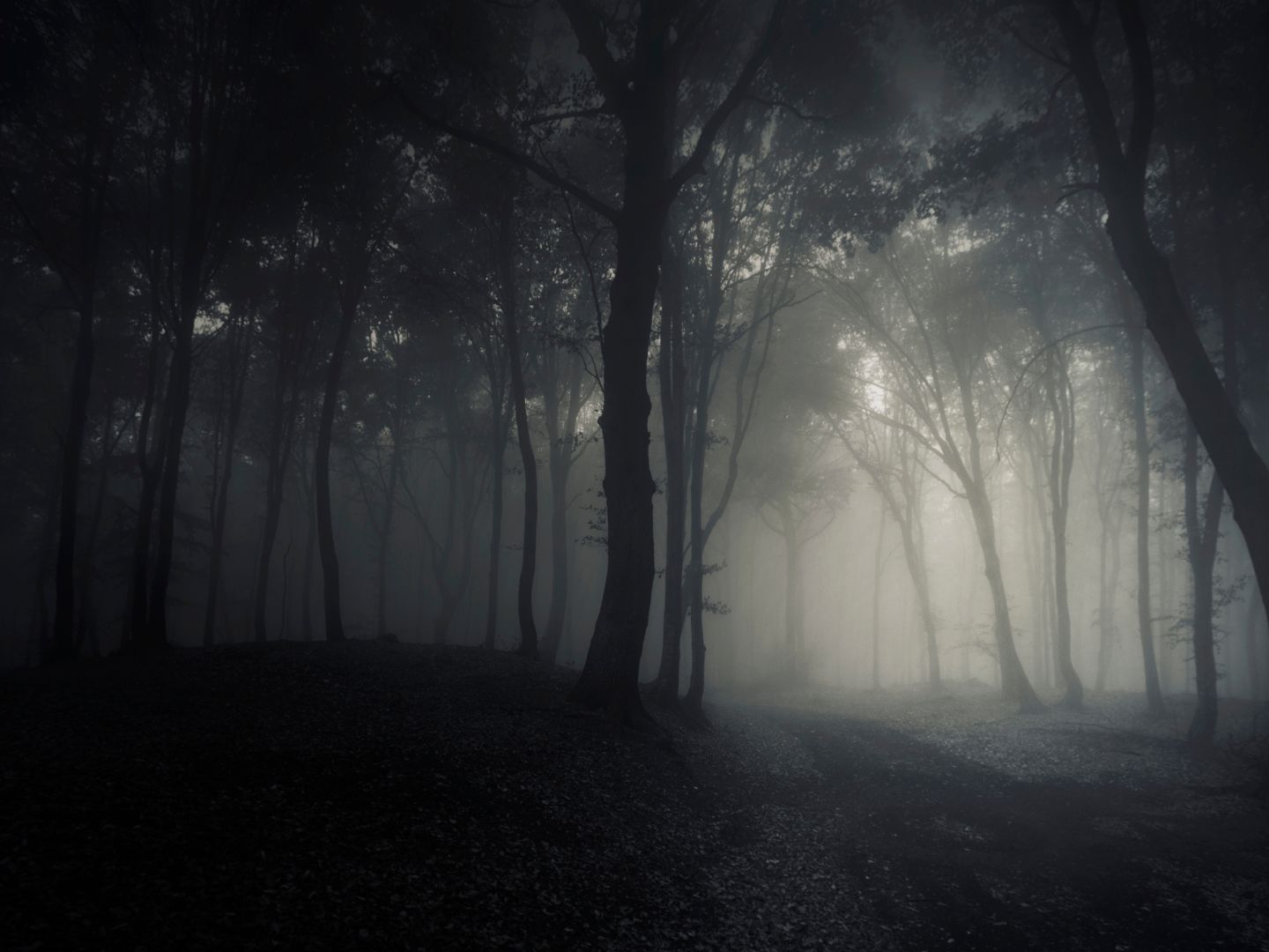 Die abgängige 78-Jährige wurde tot in einem Bachbett gefunden. Die abgängige 78-Jährige wurde tot in einem Bachbett gefunden.